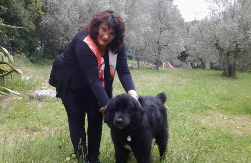 Agriturismo Il Gelso - Foto 86