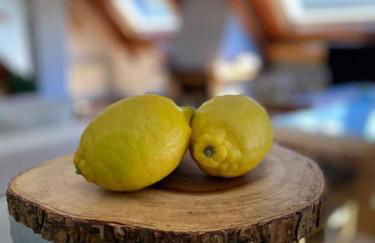 DUPLEX con encanto en Bagergue y guarda esquíes - Foto 3