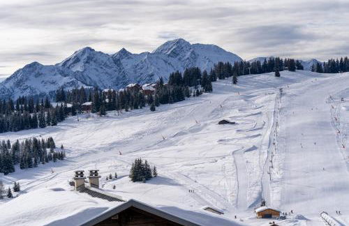 Les Saisies appart 1 chambre au pied des pistes - Foto 11