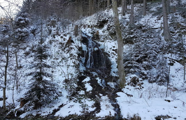 Adorable Aparment in Wildemann With Parking - Foto 68