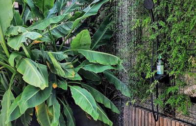 Fare Bambou - Foto 6