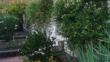 Yellow House di Giulia - Foto 2, Garden view