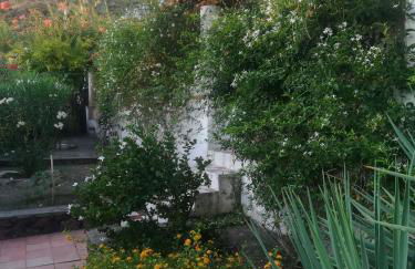 Yellow House di Giulia - Foto 2