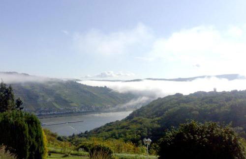 Schau-Rhein#1 - On top of Bacharach, Rhineview - Photo 22