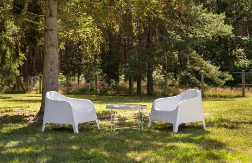 Pommernhaus Vorsee am Kiefernwald - Foto 31