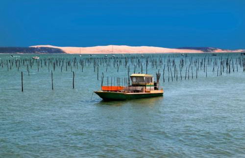 Villa vacances Bassin d'Arcachon - Foto 17
