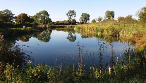Fushia Chalet a lovely little rural retreat - Foto 3