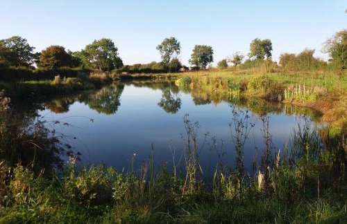 Fushia Chalet a lovely little rural retreat - Foto 3