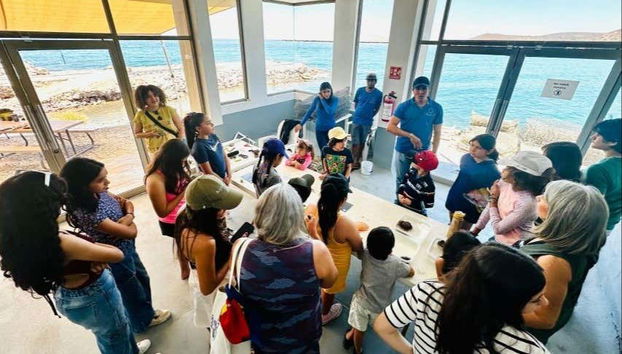 Learn all about pearl cultivation