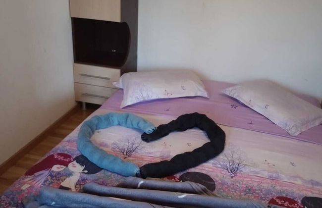 Iosif House RGN Reșița - Photo 4