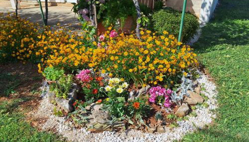 Apartman Lancun - Foto 3