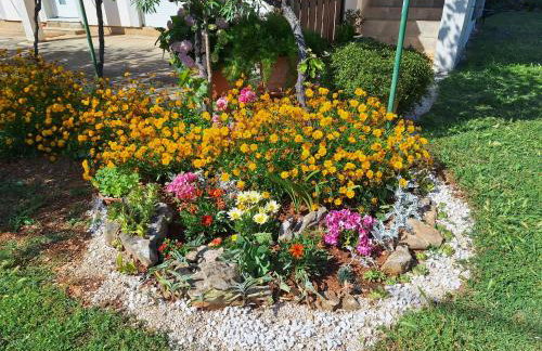 Apartman Lancun - Foto 3