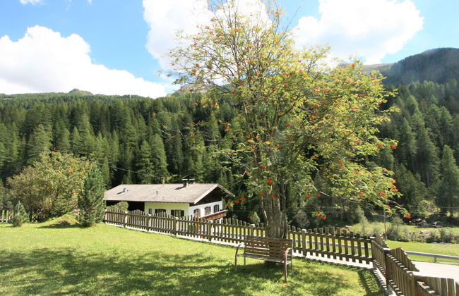 Chalet Antritt - Photo 22