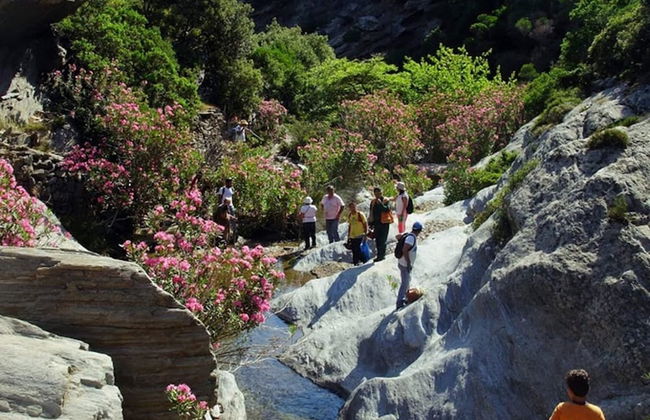 Comfortable Villa Near Sea in Andros - Foto 21