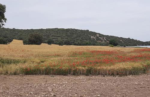 La Cachumba - Foto 37