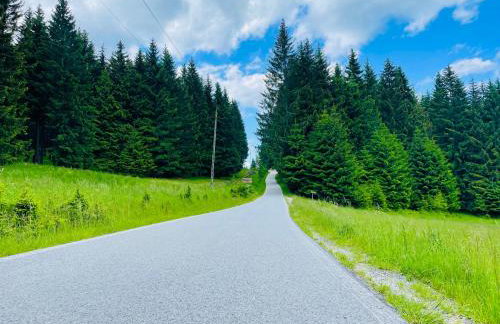 GÓRSKA CISZA - Duży, komfortowy, wyjątkowy Apartament - Foto 65