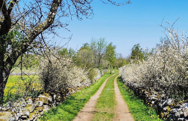 4 Person Holiday Home in Farjestaden - Foto 5