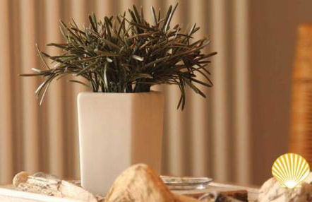 Strandgut Balkon 400 m Strand - Foto 11