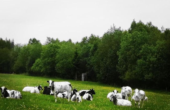 Home in Comblain-au-pont - Foto 37