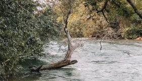 Refúgio Vida na Terra- Espaço Caliandra - Foto 5