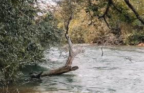 Refúgio Vida na Terra- Espaço Caliandra - Foto 5