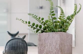 Terraluna-Heimbach - Foto 9