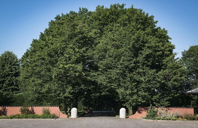 Agriturismo Relais Tenuta Il Cigno - Photo 7