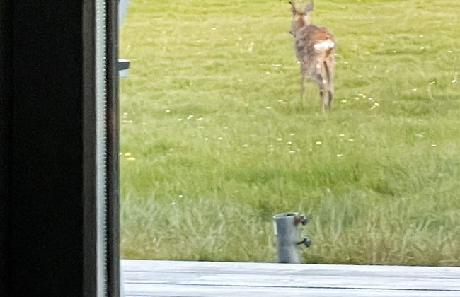 6 Person Holiday Home in Oster Assels - Foto 19