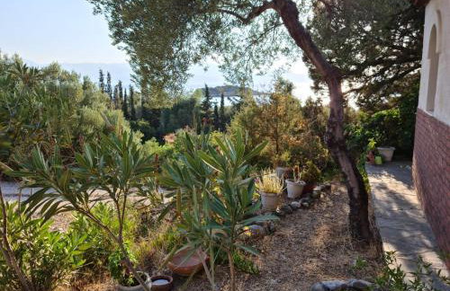 Greece - holidays & long stays - 2 Vilas - Photo 32