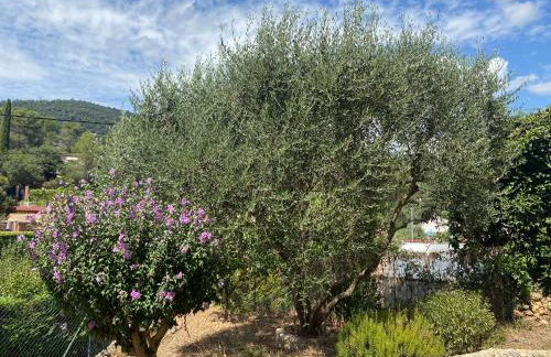 Spacieux 2 pièces, au calme - Foto 8