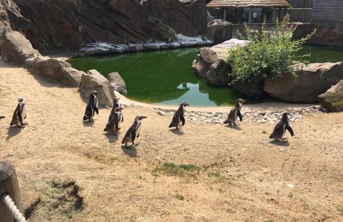 Stunning 4 Bed Near Alton Towers, Polar Bears, Peak District - Foto 47