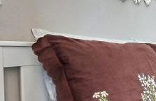 La Casa di Alice - Foto 1