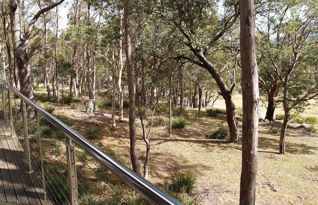 Craggy Peaks Wilderness Cabins - Foto 34