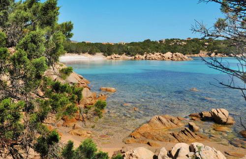 Apartment Il Giardino degli Oleandri-2 by Interhome - Foto 31