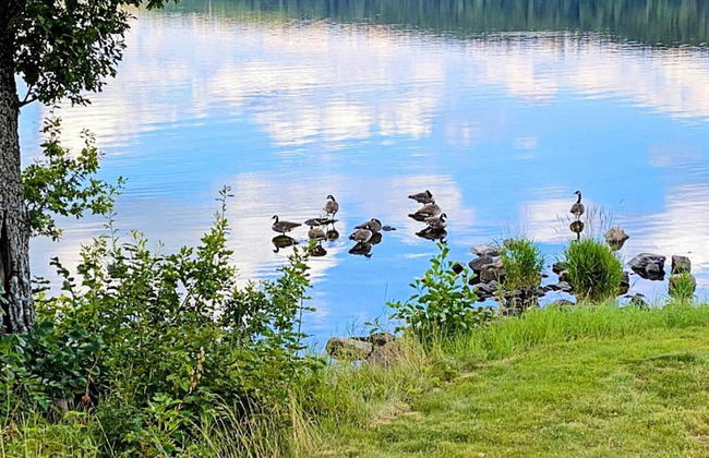 4 Person Holiday Home in Hova-by Traum - Foto 9