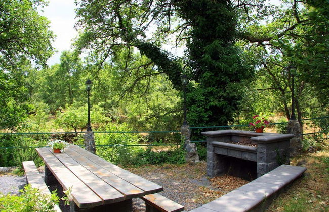 Cirasellaetna - Foto 31