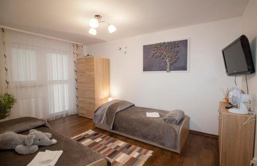 Apartamenty Bieszczady - Foto 60