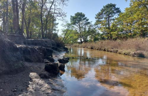 BASSIN D'ARCACHON, Maison vacances climatisée au calme, proche plage - Foto 55