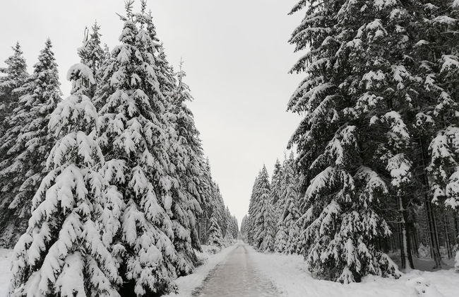 Family Home in Sourbrodt - Foto 38