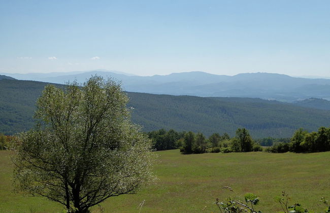 Holiday Home in Montecarelli With Pool - Foto 31