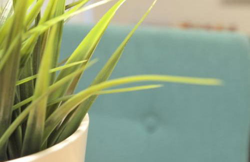 Apartamento Estella-Lizarra - Foto 5