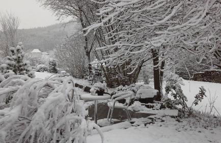 Ferienwohnung Blum - Foto 36