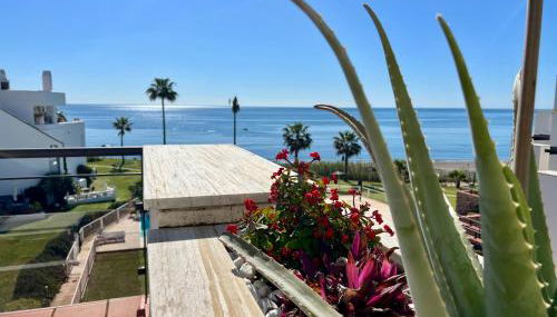 BEACHFRONT Penthouse Luxury - Photo 2, Garden, Garden view