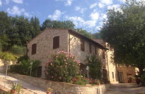 Il renaiolo - Foto 16