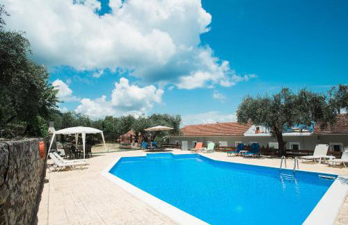 Olive Grove Poolside Apartments - Foto 39