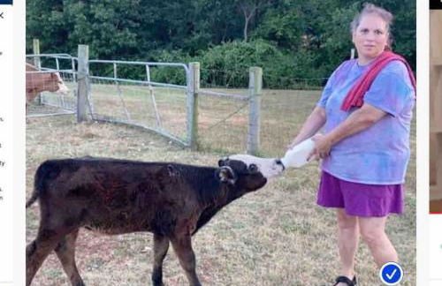 The Varnadoe Villa- Farm Stay - Foto 45