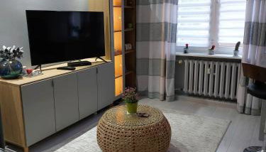 Bee Happy Apartament Wrzesnia - Foto 3