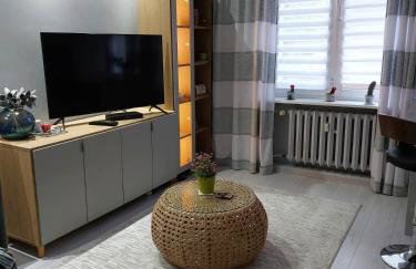 Bee Happy Apartament Wrzesnia - Foto 3