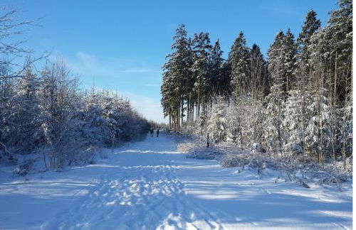 Ferienwohnung Hilleseeblick - Foto 25