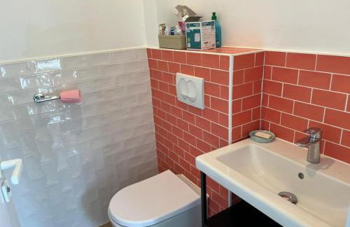 Ile d oléron Vertbois, Villa Bois Piscine et mer - Foto 30